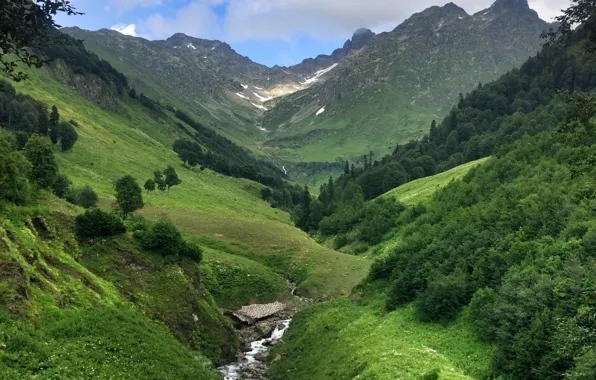 Горы, Mountain, Абхазия, Abkhazia