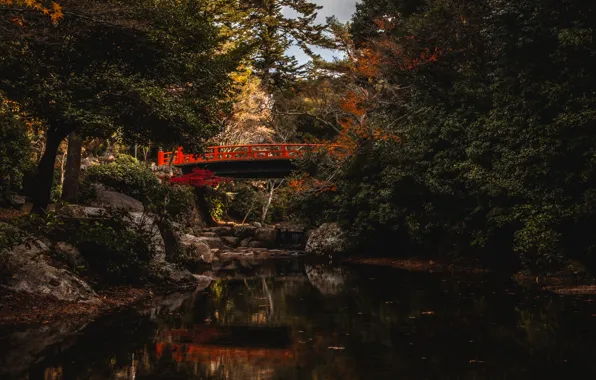 Фото, Природа, Мост, Деревья, Япония, Водный канал, Bridge on Miyajima Island