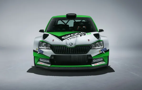 Concept, вид спереди, Skoda, 2019, Fabia R5