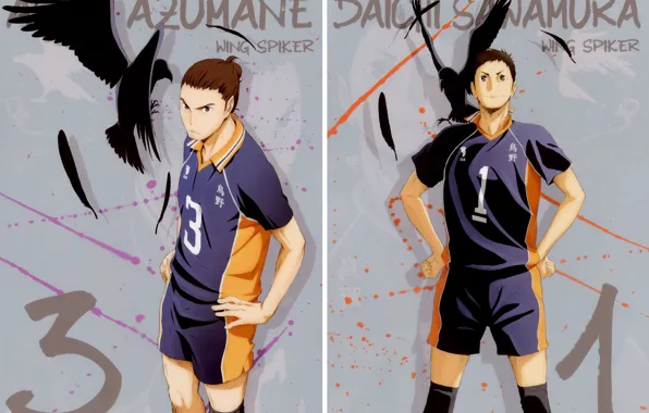 Перья, капитан, вороны, парни, спортивная форма, Haikyuu!!, Волейбол!, Asahi Azumane