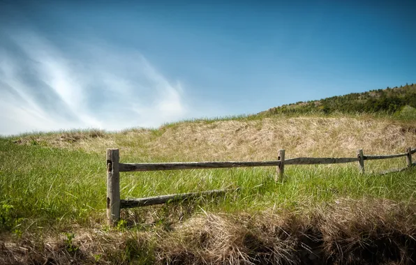 Поле, лето, забор