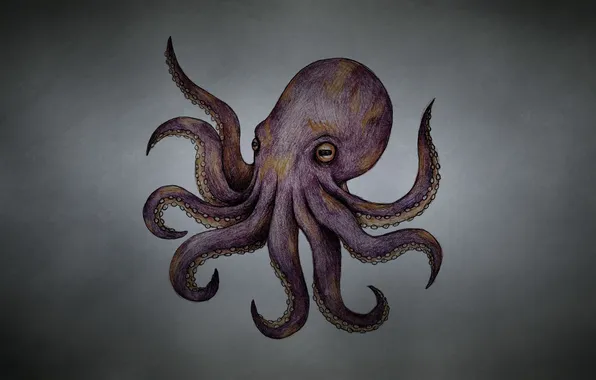 Осьминог, щупальца, octopus, темноватый фон