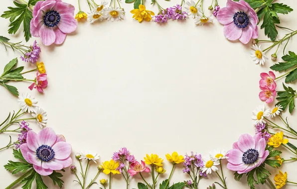 Цветы, рамка, colorful, pink, flowers, frame, floral