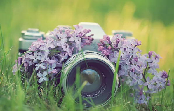Картинка трава, цветы, фото, фотоаппарат, сирень, зенит, фотокамера