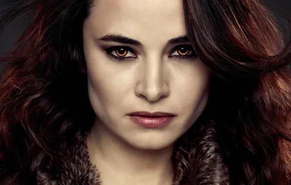 Взгляд, девушка, вампир, красные волосы, Сумерки Сага Рассвет, The Twilight Saga Breaking Dawn - Part …