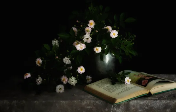 Цветы, розы, букет, книга, белые, черный фон