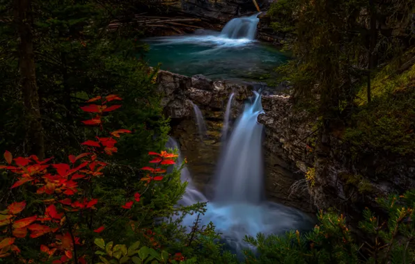 Осень, лес, скала, Канада, Альберта, Banff National Park, водопады, Национальный парк Банф