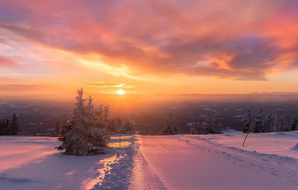 Картинка зима, дорога, небо, солнце, свет, снег