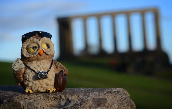 Картинка сова, камень, игрушка, камера, Шотландия, силуэт, Эдинбург, Calton Hill
