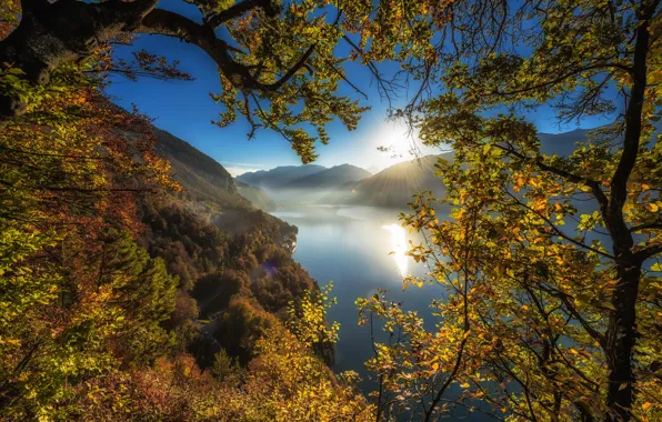 Картинка осень, деревья, горы, ветки, озеро, Швейцария, Switzerland, Lake Thun