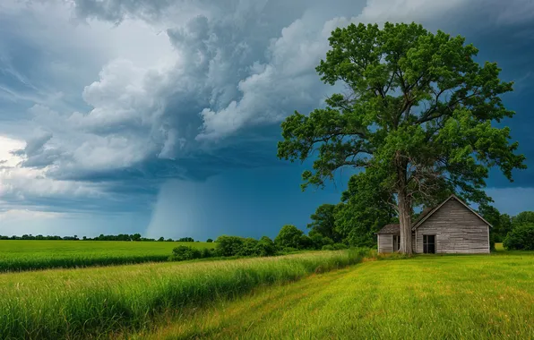 Sky, wood, building, stormy