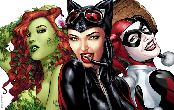Игра, арт, ядовитый плющ, DC Comics, Catwoman, Selina Kyle, женщина кошка, Harley Quinn