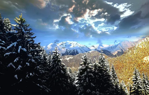 Картинка зима, лес, снег, деревья, пейзаж, горы, Италия, Ломбардия