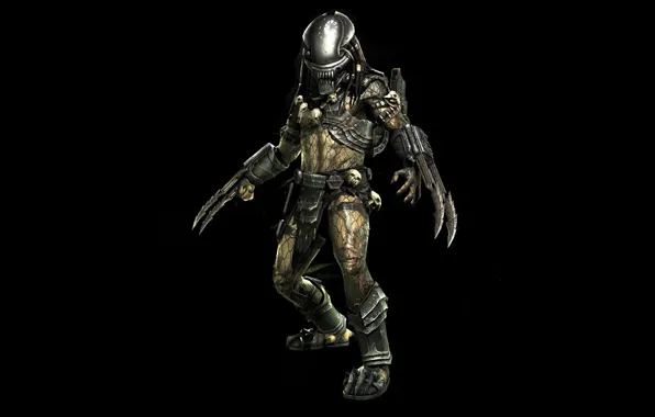 Cinema, monster, Predator, alien, movie, fang, assassin, film
