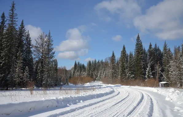 Зима, дорога, лес, снег, природа, фото, ель, поворот