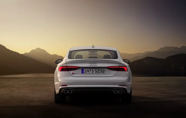 Audi, Audi A5, корма, 2019, S5 Sportback