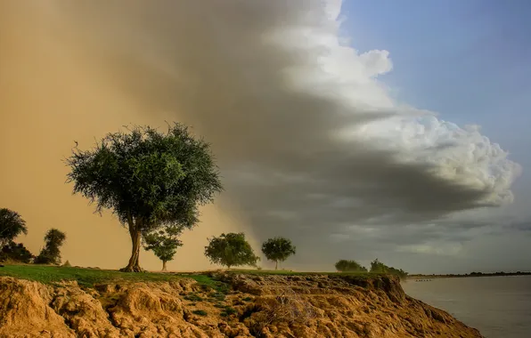 Небо, облака, деревья, озеро, обрыв