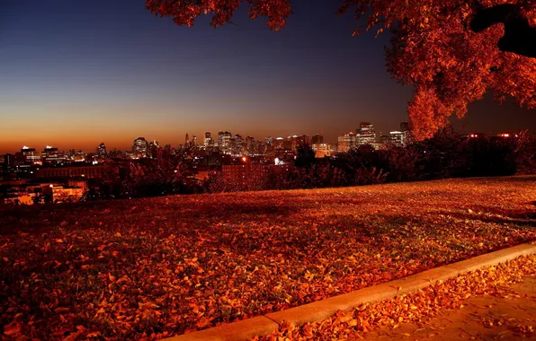 Картинка осень, пейзаж, природа, фото, вечер