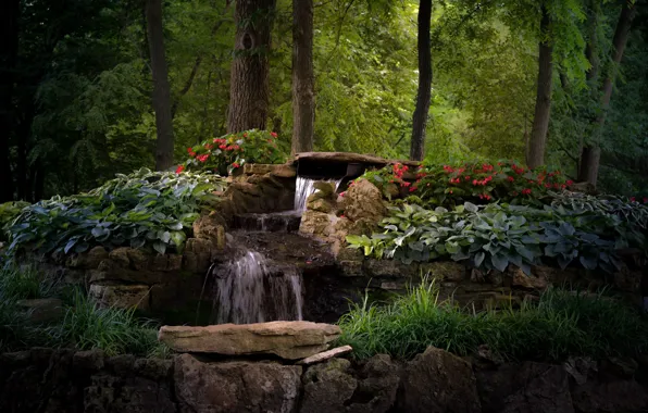 Картинка деревья, цветы, парк, водопад, Миссури, каскад, Missouri, Springfield