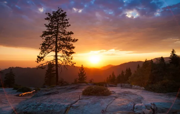 Закат, природа, парк, фото, рассвет, Калифорния, США, Sequoia