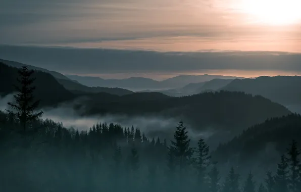 Лес, небо, солнце, облака, деревья, пейзаж, закат, горы