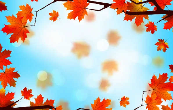Листья, фон, autumn, leaves, осенние, maple