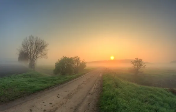 Дорога, туман, утро