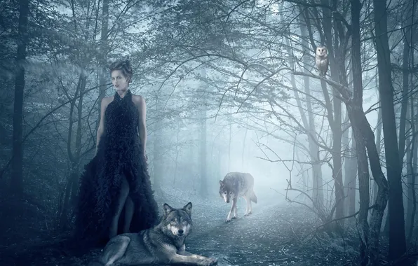 Лес, девушка, сова, волки, Isadora Vilarim