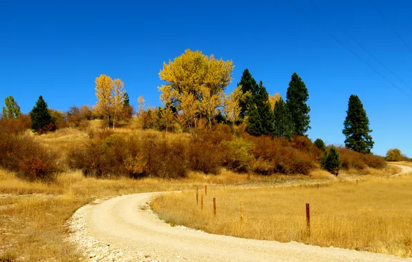 Картинка дорога, осень, небо, деревья, холм