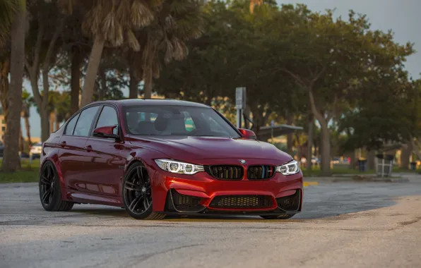 Картинка BMW, Evening, RED, Sight, F81