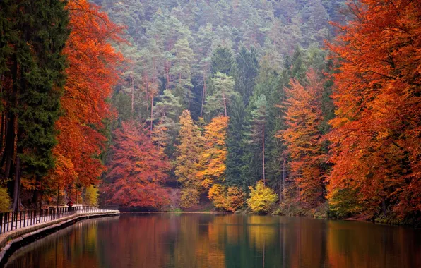 Осень, лес, деревья, горы, озеро, парк, Германия, Saxon Switzerland National Park