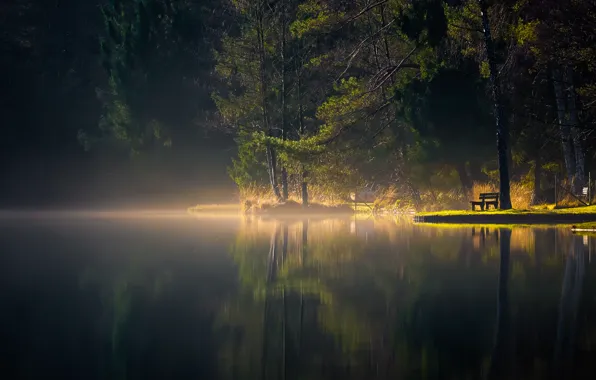 Лес, природа, озеро, forest, Nature, lake