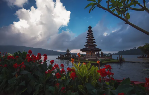 Картинка облака, пейзаж, цветы, ветки, озеро, холмы, берег, Бали