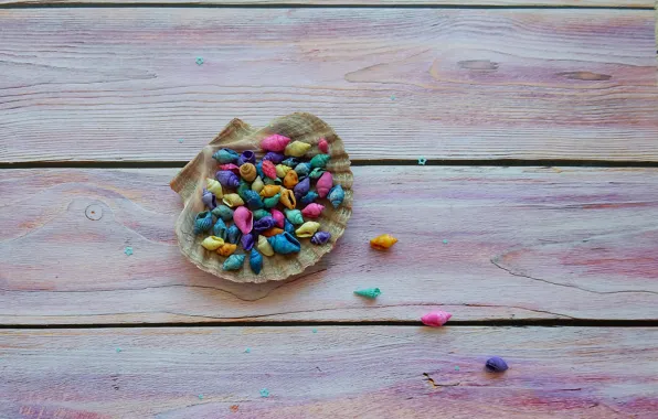Beautiful, фон background, HD wallpapers, decoration, широкоэкранные, fullscree, цветные ракушки, colored shells