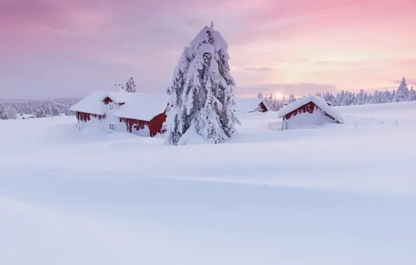 Картинка снег, дома, утро