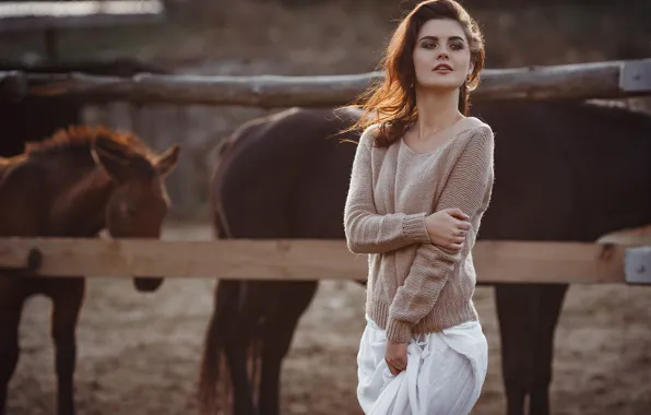 Картинка девушка, поза, лошади, свитер, Елена Молчанова