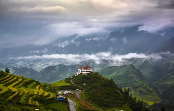 Картинка горы, природа, долины, дом в горах, чайная плантация