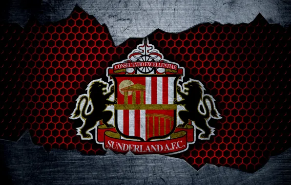 Wallpaper, sport, logo, football, Sunderland