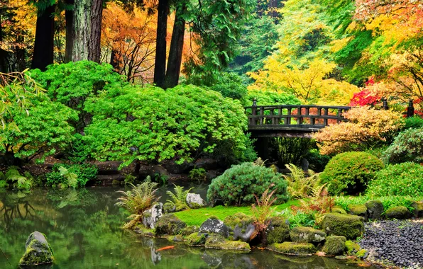 Осень, деревья, мост, пруд, парк, камни, кусты