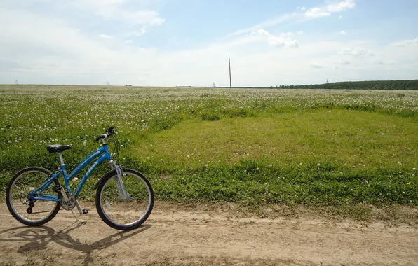 Картинка дорога, поле, лето, небо, трава, велосипед, одуванчики