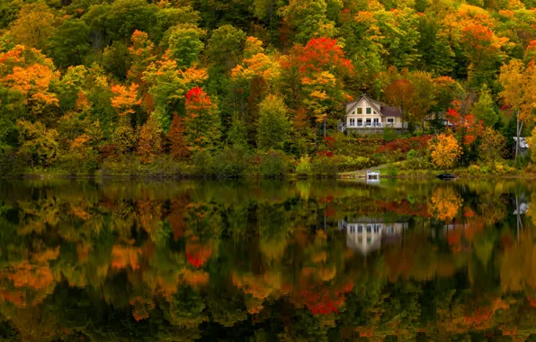 Картинка осень, лес, дом, отражение, река, Канада, Canada, Quebec