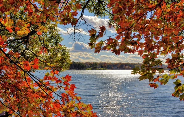 Картинка осень, небо, листья, облака, деревья, ветки, озеро