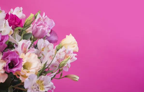Цветы, фон, розовый, лилии, pink, flowers, lily