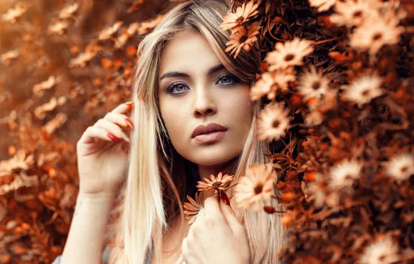 Девушка, цветы, лицо, макияж, блондинка, Alessandro Di Cicco