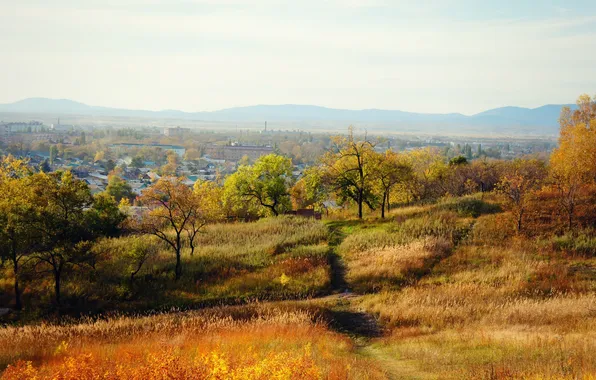 Осень, деревья, природа, город, Арсеньев