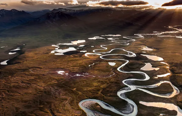 Картинка Аляска, USA, США, Alaska, заповедник, Brooks Range, Арктическая дикая природа, Arctic Wildlife