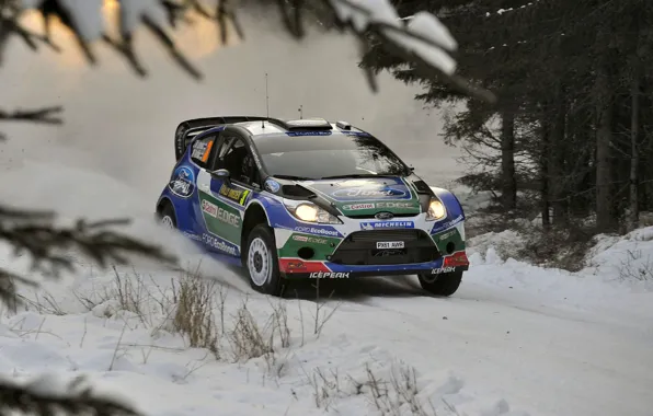 Ford, Зима, Снег, Форд, WRC, Rally, Ралли, Fiesta