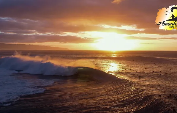 LOGO, SUNSET, SURF, AMANTE, HAWAII