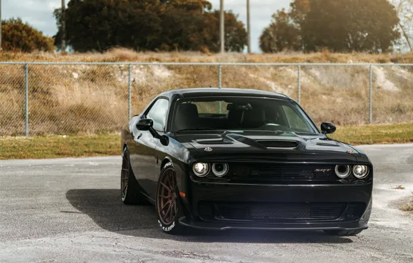 Dodge, Challenger, Black, Series, Hellcat, SRT, Track, Spec