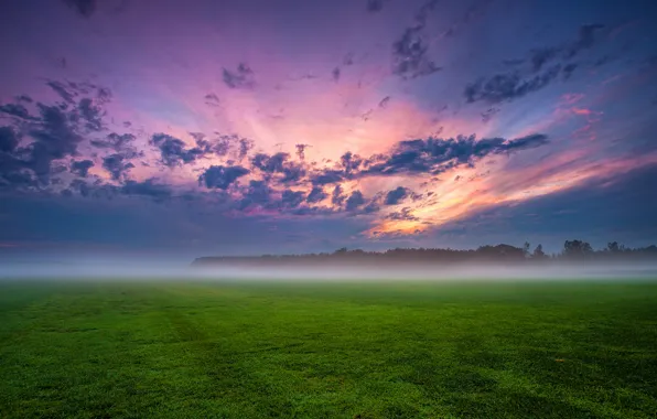 Картинка поле, небо, трава, облака, деревья, закат, тучи, туман